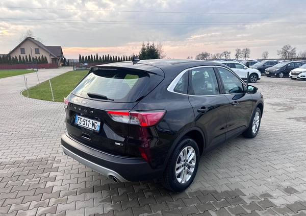 Ford Kuga cena 80900 przebieg: 99000, rok produkcji 2020 z Nowe Brzesko małe 596